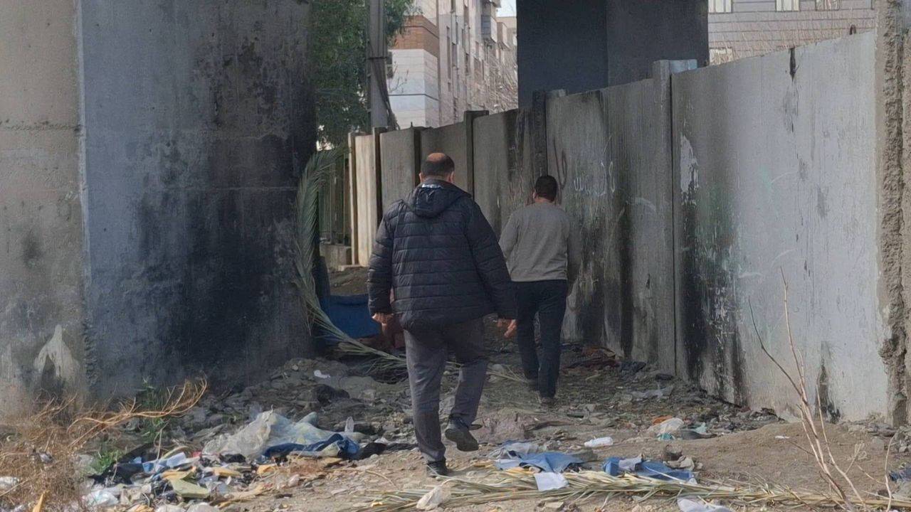 -«-»-43 (گالری)